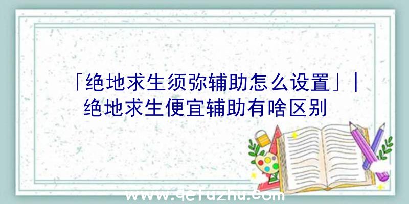 「绝地求生须弥辅助怎么设置」|绝地求生便宜辅助有啥区别